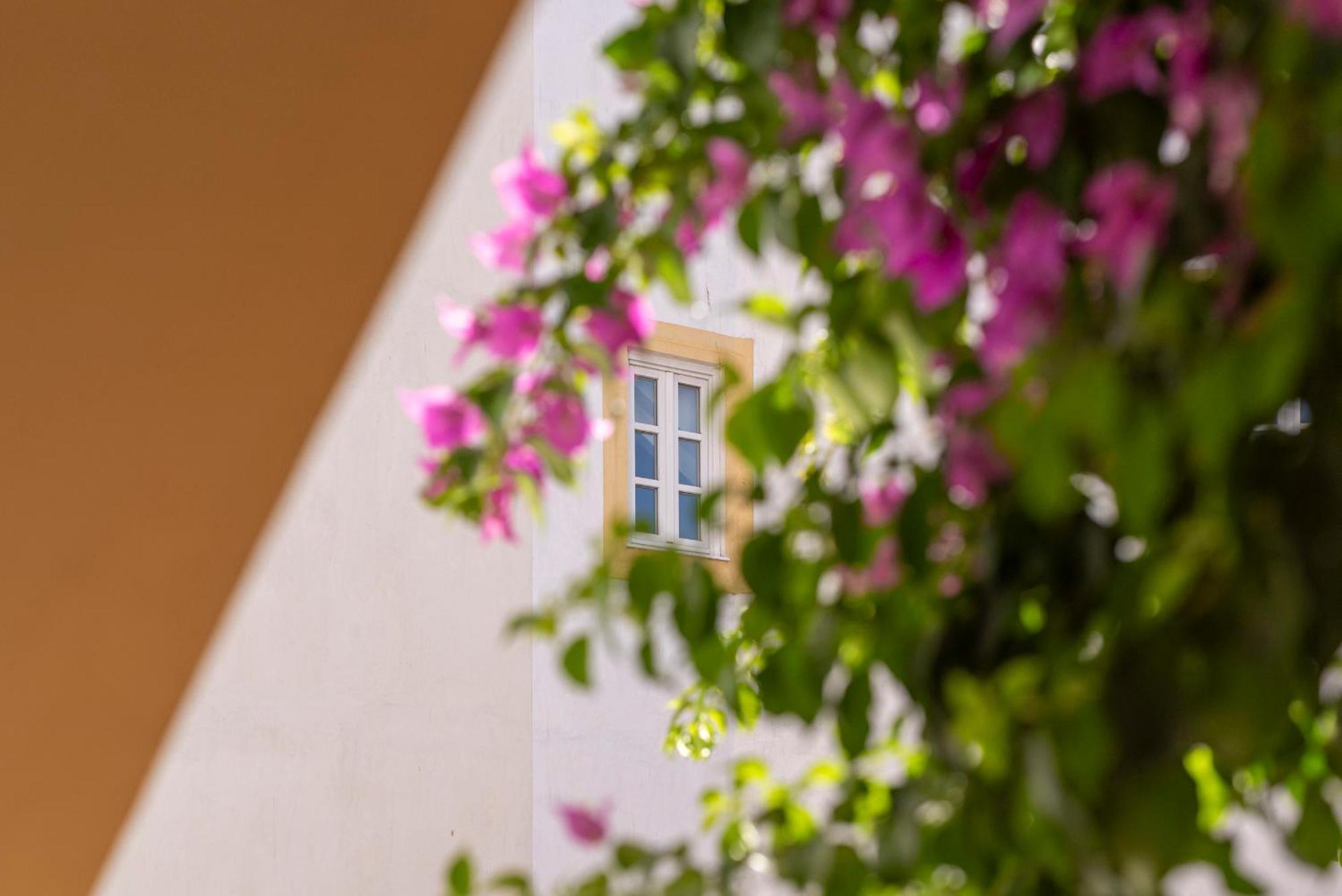 Casa Morgado Esporao Bed & Breakfast Évora Dış mekan fotoğraf